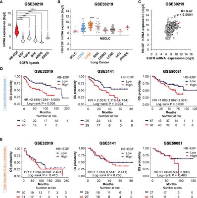 Heparin binding epidermal growth factor–like growth factor is a prognostic marker correlated with levels of macrophages infiltrated in lung adenocarcinoma